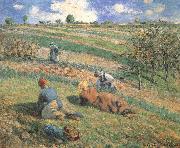 Camille Pissarro Field work Sweden oil painting artist